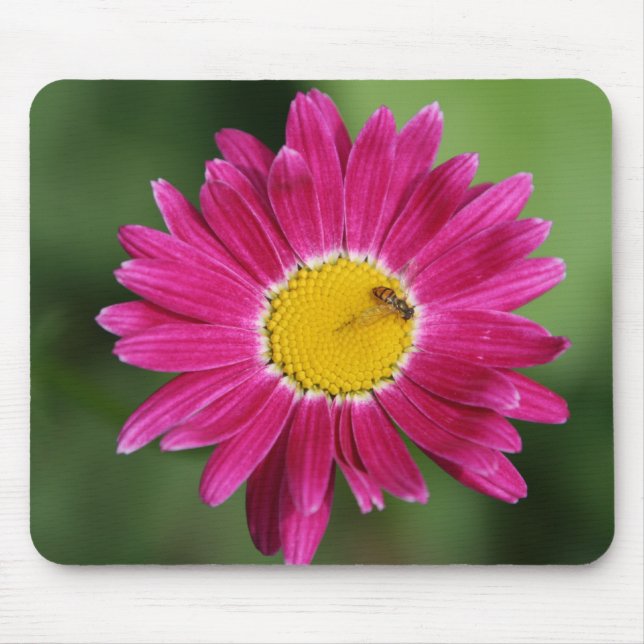 Painted Daisy Cards and more Mouse Pad (Front)
