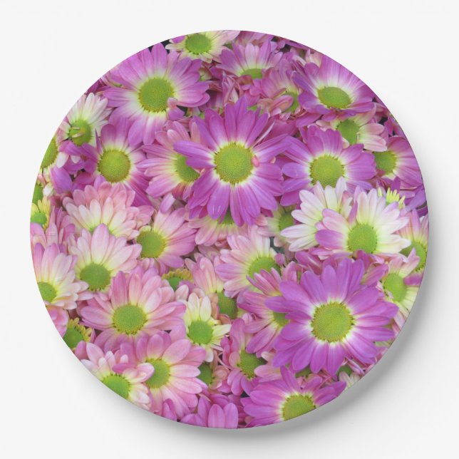 Painted Daisy Paper Plates (Front)