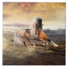 Painted Desert Mustang Horse