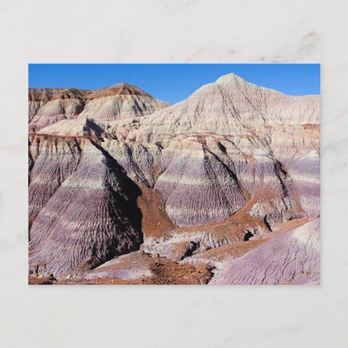 Painted Desert Petrified Forest National Park Postcard