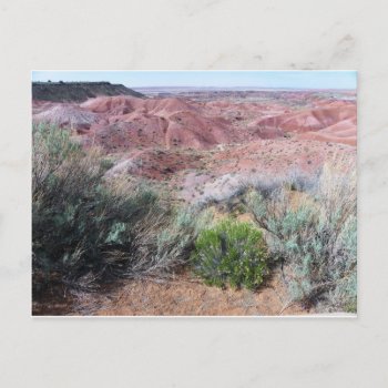 Painted Desert Postcard by FloralZoom at Zazzle
