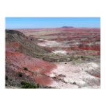 Painted Desert Rim Vista Poster