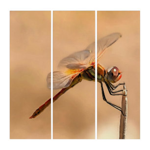 Painted Dragonfly Isolated Against Ecru Triptych