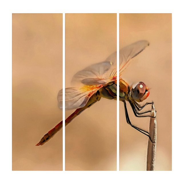Painted Dragonfly Isolated Against Ecru Triptych (Front)