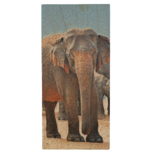 Painted Elephant in Desert Wood USB Flash Drive