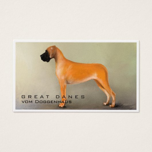 painted fawn Great Dane (Front)