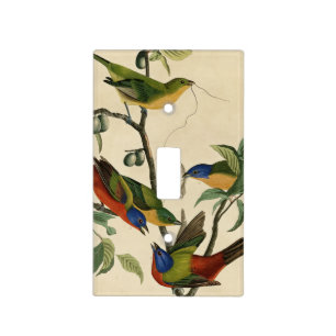 Painted Finch (Bunting) Audubon's Birds of America Light Switch Cover