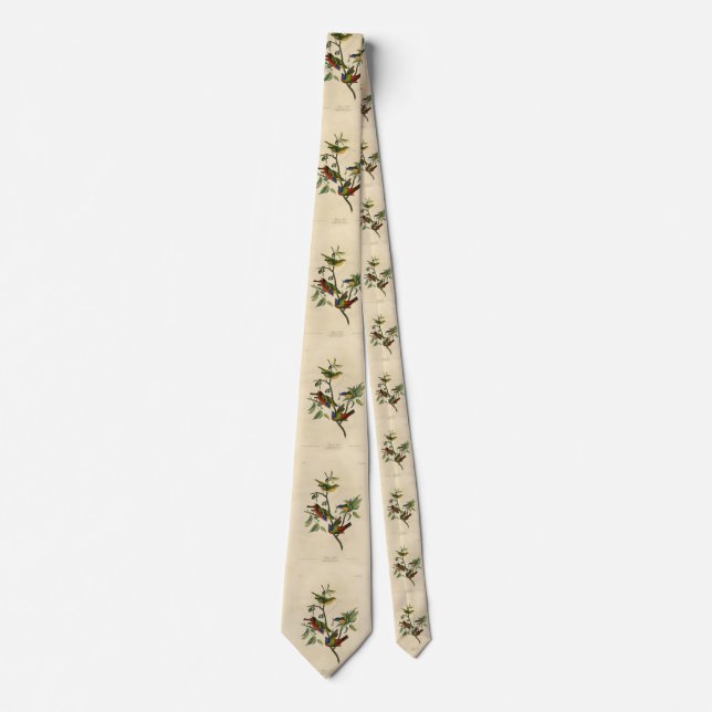 Painted Finch (Bunting) Audubon's Birds of America Neck Tie (Front)
