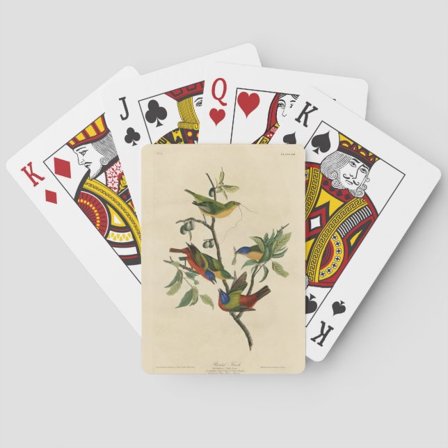 Painted Finch (Bunting) Audubon's Birds of America Poker Cards (Back)