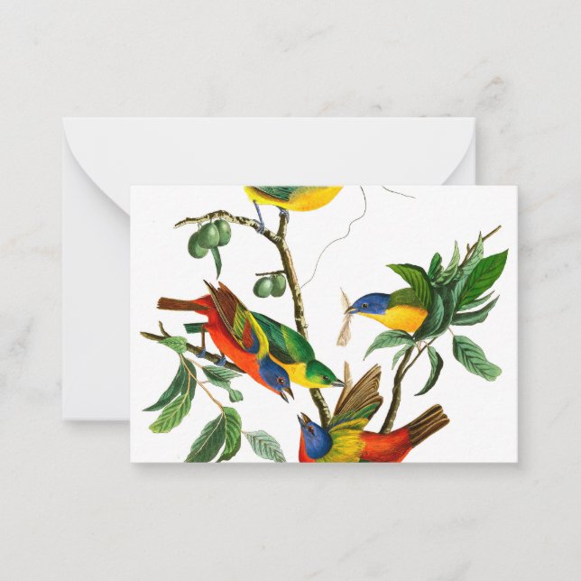 Painted Finch by John James Audubon Note Card (Front)