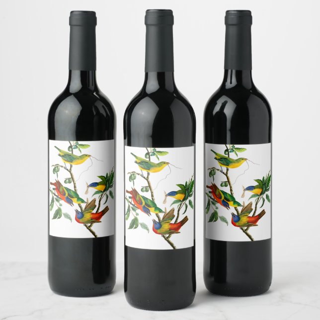 Painted Finch by John James Audubon Wine Label (Bottles)