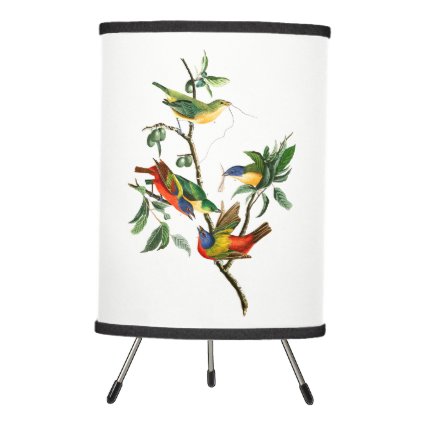 Painted Finch Lamp