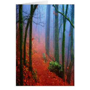 Painted Forest Autumn Blue Fog Cards