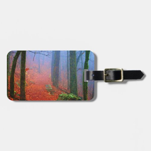 Painted Forest Autumn Blue Fog Luggage Tag