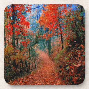 Painted Forest Autumn Flame Watercolor Coasters