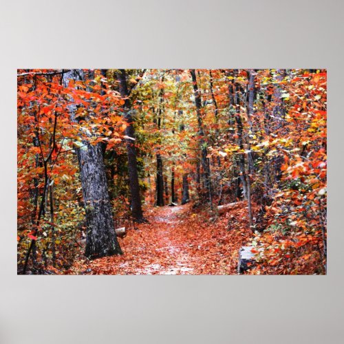 Painted Forest Autumn Trail Watercolor Photography Poster