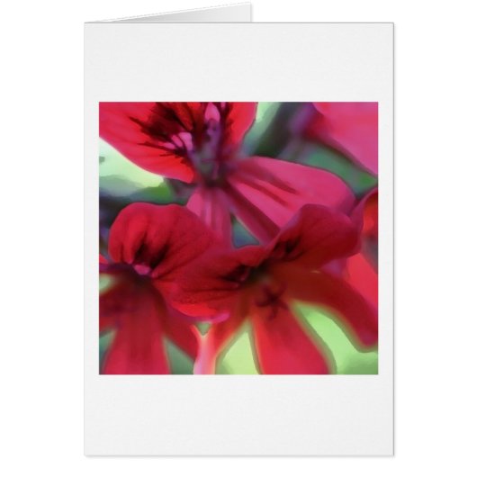 Painted Geraniums Cards (Front)