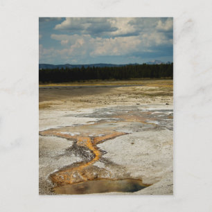 Painted Grounds Postcard