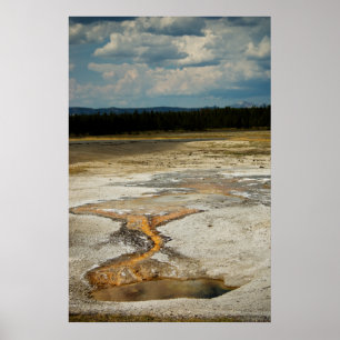 Painted Grounds Print