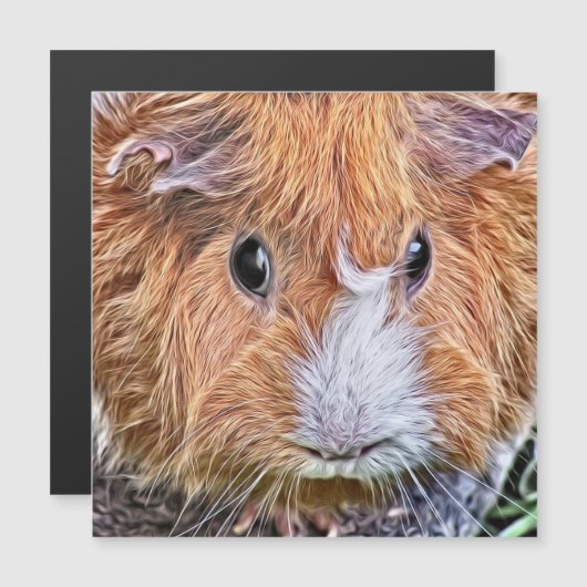 painted guinea pig 5 (Front/Back)
