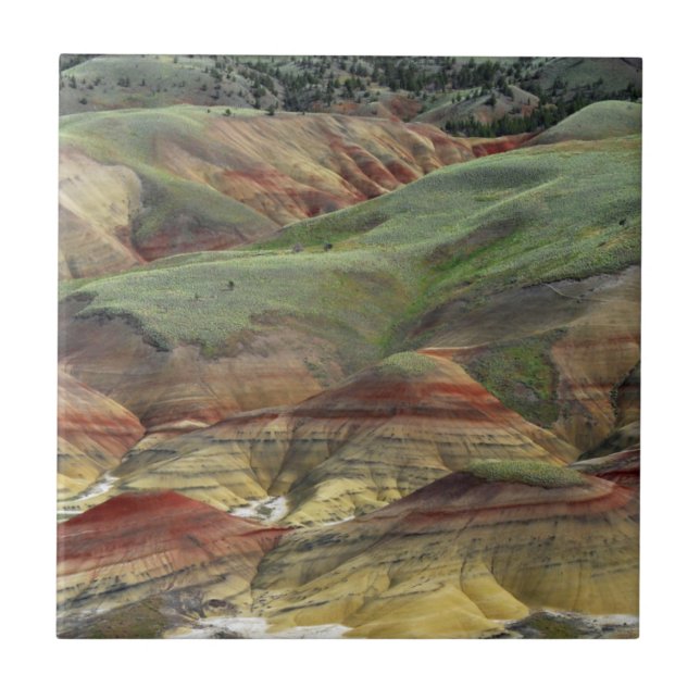 Painted Hills, John Day Fossil Beds, Mitchell Ceramic Tile (Front)