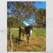 Painted Horse, (Front)