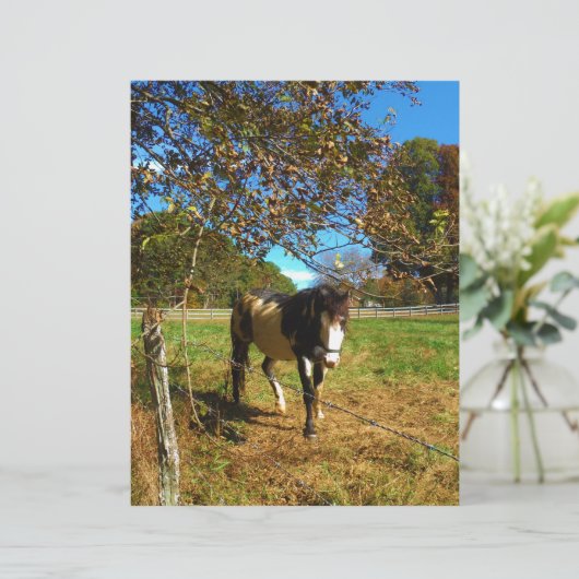 Painted Horse, (Standing Front)