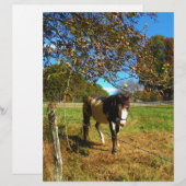 Painted Horse, (Front/Back)