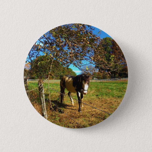 Painted Horse, Button (Front)