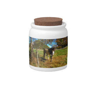 Painted Horse, Candy Jar