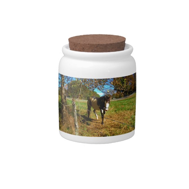 Painted Horse, Candy Jar (Front)