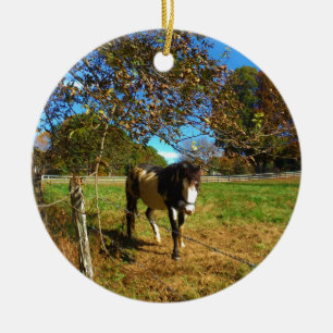 Painted Horse, Ceramic Ornament