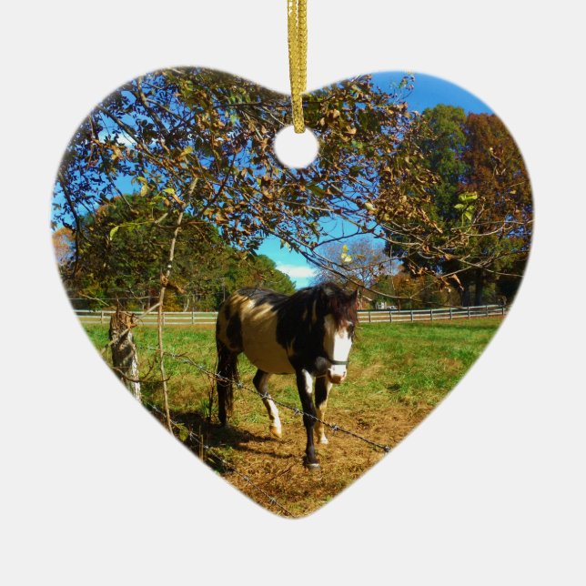 Painted Horse, Ceramic Ornament (Front)