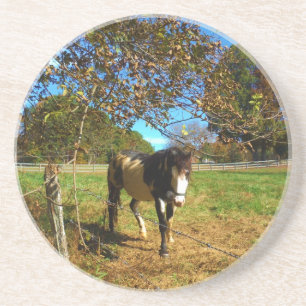 Painted Horse, Drink Coaster