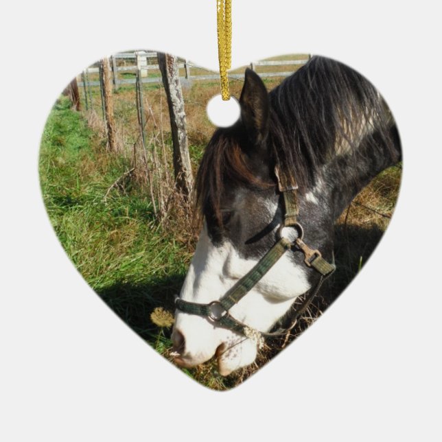 Painted Horse, Eating Queen Ann Lace flower Ceramic Ornament (Front)