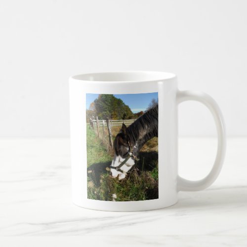 Painted Horse Eating Queen Ann Lace flower Coffee Mug