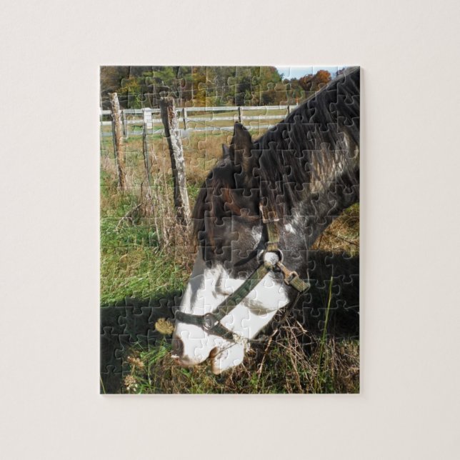 Painted Horse, Eating Queen Ann Lace flower Jigsaw Puzzle (Vertical)