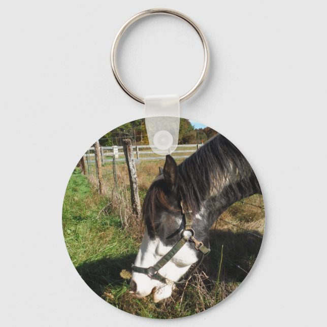 Painted Horse, Eating Queen Ann Lace flower Keychain (Front)