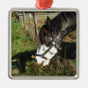 Painted Horse, Eating Queen Ann Lace flower Metal Ornament