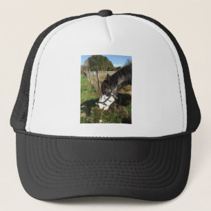 Painted Horse, Eating Queen Ann Lace flower Trucker Hat