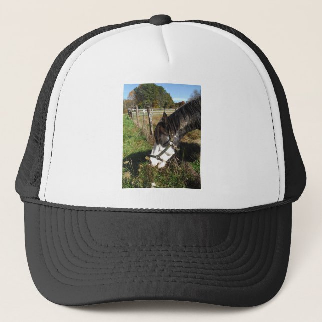 Painted Horse, Eating Queen Ann Lace flower Trucker Hat (Front)