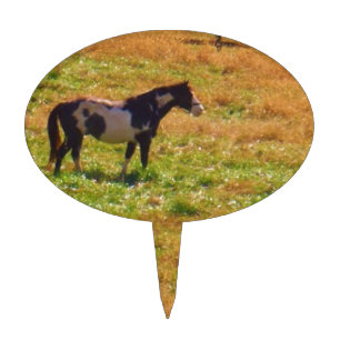 Painted Horse in the Distance Cake Topper