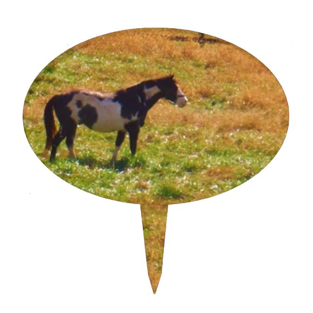 Painted Horse in the Distance Cake Topper (Front)