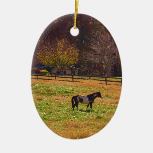 Painted Horse in the Distance Ceramic Ornament