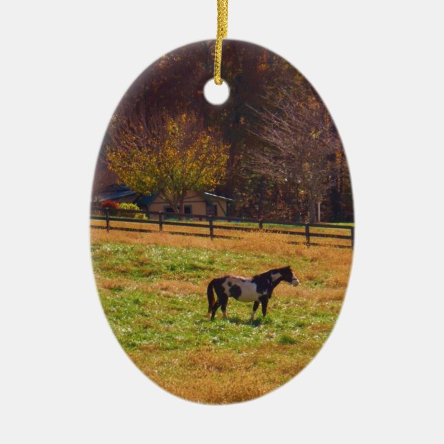 Painted Horse in the Distance Ceramic Ornament (Front)