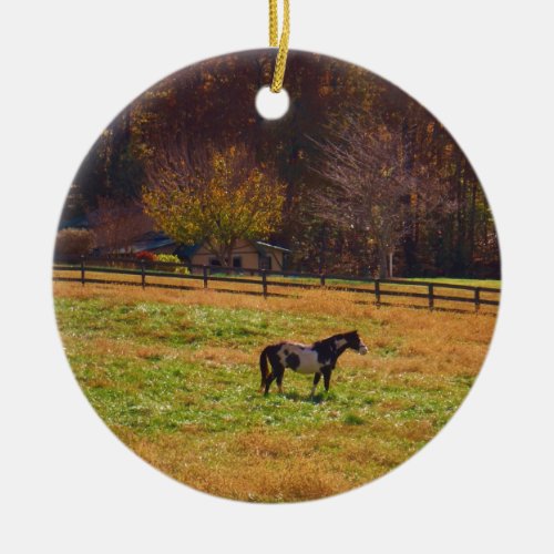 Painted Horse in the Distance Ceramic Ornament