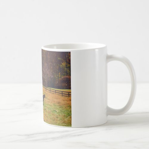 Painted Horse in the Distance Coffee Mug