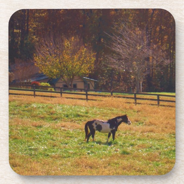 Painted Horse in the Distance Drink Coaster (Front)