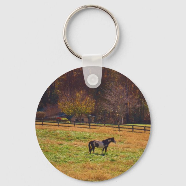 Painted Horse in the Distance Keychain (Front)