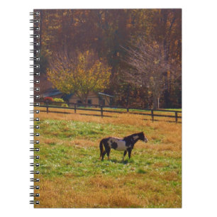 Painted Horse in the Distance Notebook